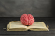 © lucid_dream - Book Brain -Educational Concept