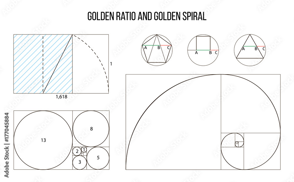 Vector de Stock golden ratio template vector, Divine Proportions ...