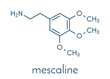 Mescaline peyote cactus psychedelic molecule. Skeletal formula.