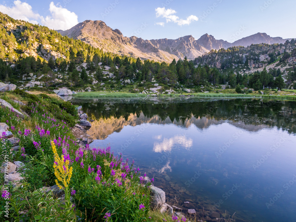 Obraz na płótnie Estany Primer lake in Andorra, Pyrenees Mountains w salonie