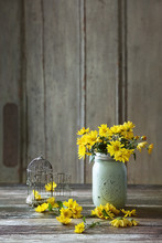 Daisies In Kitchen Jar And Bird Cage On Table