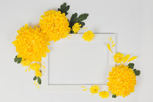White Border With Yellow Chrysanthemums Daisy Flowers On White Background.