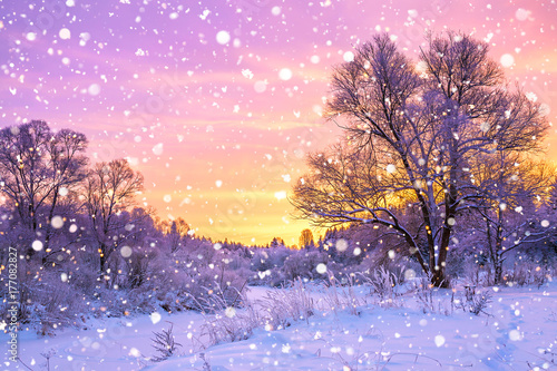 winter landscape with forest, trees and sunrise