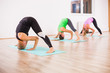 © djoronimo - Three girls practicing yoga, Padottanasana / Standing separate leg stretching pose
