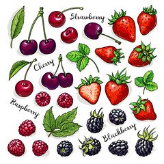 Summer fruits and berries set: cherry, strawberry, raspberry, blackberry.