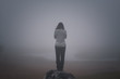 Depressive Frau steht an der Klippe und denkt an Selbstmord Depression Nebel Rückansicht