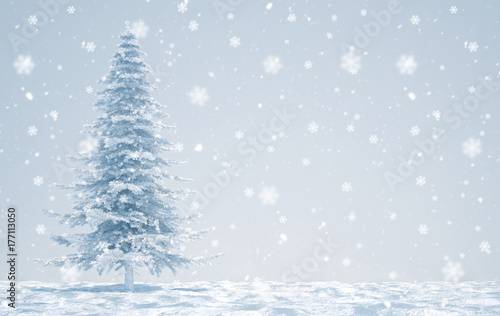 Fototapeta merry christmas