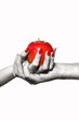 © sakkmesterke - Man and woman hands holding forbidden fruit, selective coloring