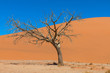 Sossusvlei, Dünen-Landschaft in Namibia