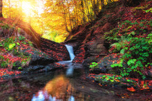 Colorful Autumn Landscape, Mountain Creek With Small Waterfall In The Rocky Canyon Surrounded Be Sunny Forest, Carpathians