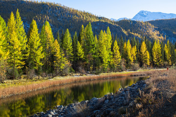 Sticker - Chuya River a right tributary of the Katun River, Altai Republic, Russia.