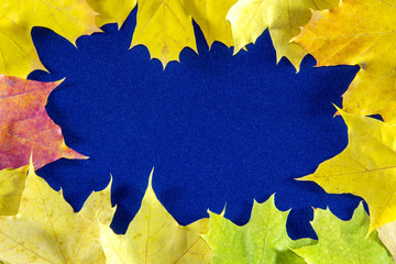 Autumn background with leaves and on blue