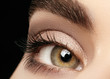 © marinafrost - Close-up macro of beautiful female eye with perfect shape eyebrows. Clean skin, fashion naturel make-up. Good vision