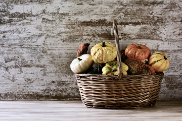 Wall Mural - basket with an assortment of different pumpkins