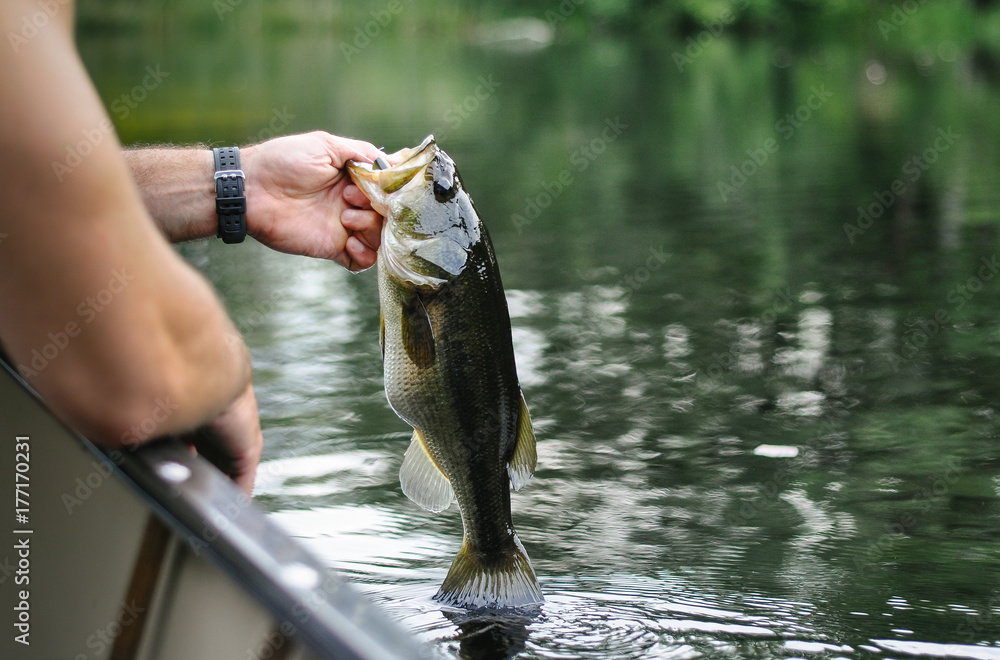 catch fre fishing hooks Catch and Release Hooks