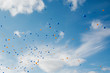 © Urs Siedentop & Co/Stocksy - Blue and orange balloons in the sky