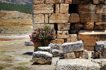 Beautiful view of ancient ruins on sunny day