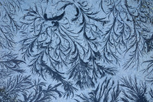 Remarkable Organic Frost Patterns