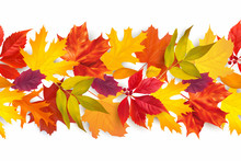 Seamless Border With Colored Autumn Leaves Isolated On White. Vector Illustration.