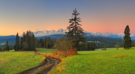 Wall Mural - Morning in green valley