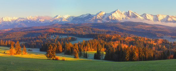 Wall Mural - Sunny autumn lanscape