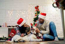 Beautiful Smiling Love Couple Playing With The Happy White Dog At Home For Christmas Holidays.