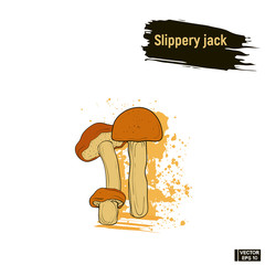 Wall Mural - Colored sketch slippery jack mushrooms.