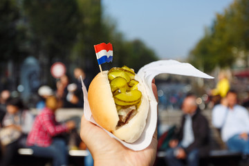 Dutch sandwich with herring