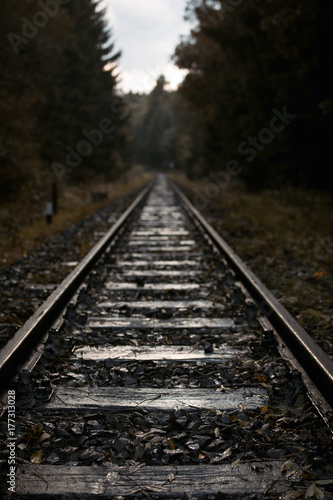 Zdjęcie XXL Railroad I