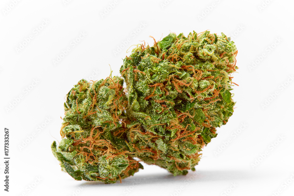 Close up of prescription medical marijuana strain AK47 flower on white background - obrazy, fototapety, plakaty 