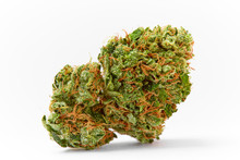 Close Up Of Prescription Medical Marijuana Strain AK47 Flower On White Background