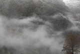 Fototapeta Na ścianę - Panorama of the foggy winter landscape