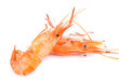 Two shrimp isolated on white background.
