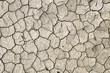 © Wizemark/Stocksy - Dry cracked/perched mud/land background/texture