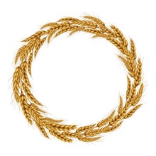 Vector Illustration Of A Wreath Made Of Wheat Spikelets Isolated On A White Background With Space For Text.. Template, Seal, Design Element.