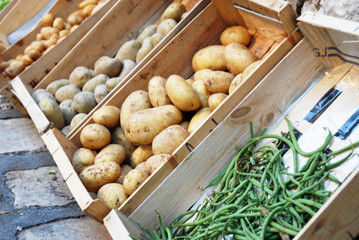 Vegetables in the market