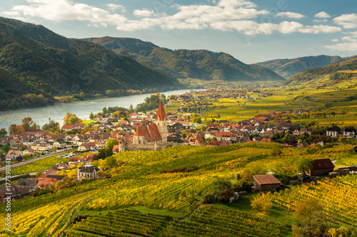 Plakat Weissenkirchen Wachau Austria jesienią kolorowe liście i winnice
