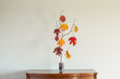 © David Smart/Stocksy - Bare branch in a vase with autumn leaves suspended from strings