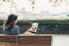 Woman Sitting On A Bench With Her Dog