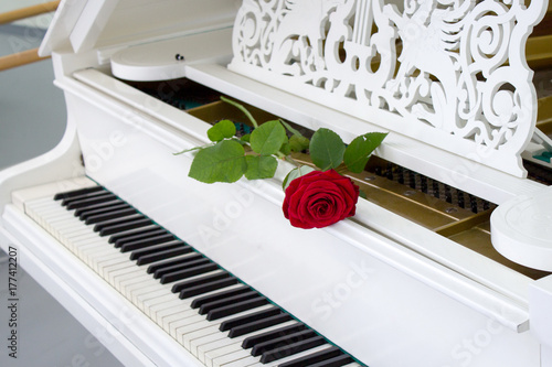 Zdjęcie XXL Czerwona róża na białym fortepianie