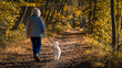 © frank1crayon - Senior woman walking a dog on a forest trail during a late afternoon in autumn