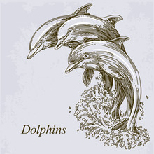 Group Of Dolphins Jumping In The Water. Vector Illustration.