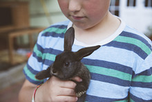 A  Young Boy Gets A Baby Rabbit For A New Pet
