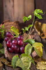 Bunches of fresh ripe red grapes on a wooden textural background