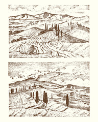 engraved hand drawn in old sketch and vintage style for label. Italian Tuscany fields background and cypress trees. harvesting and haystacks. Rural landscape of wineyard and village or rustic houses.