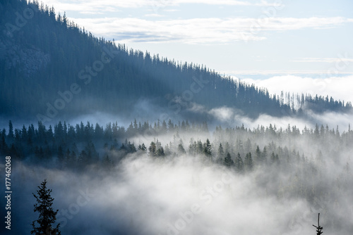 Zdjęcie XXL panoramiczny widok na góry w mglistym lesie