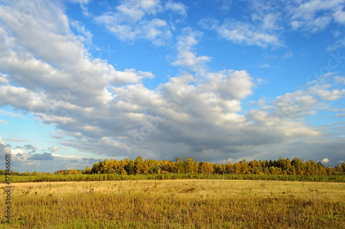 Zdjęcie XXL Kraju krajobraz z żółtą łąką w jesieni