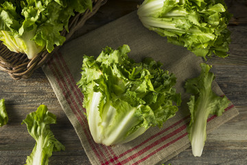 Raw Green Organic Escarole Lettuce