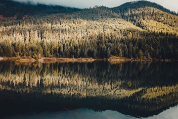 Wall Mural - Gold Creek Pond