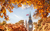 Fototapeta Big Ben - Big Ben clock against autumn leaves in London, England, UK